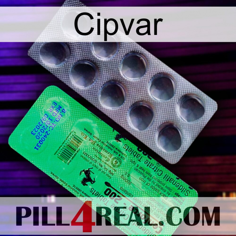 Cipvar new04